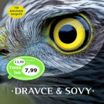 Dravce sovy