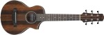 Ibanez EWP13 Dark Brown