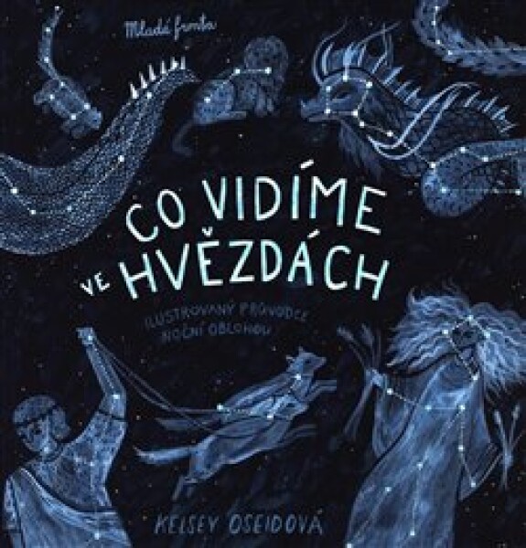 Co vidíme ve hvězdách - Kelsey Oseidová