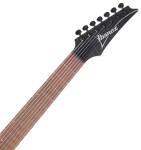 Ibanez RGA742FM Transparent Gray