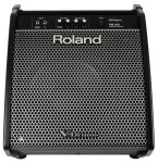 Roland PM-200