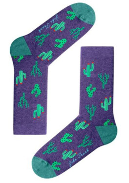 Dámské ponožky John Frank WJFLSFUN51 Purple UNI