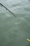 Fox Rage Prut Prism X Power Spin Up To 100g 200cm,Fox Rage Prut Prism X Power Spin Up To 100g 200cm