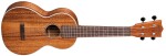 Martin 2K Concert Uke