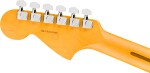 Fender American Professional Jaguar RW DK NIT