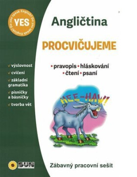 Procvičujeme - Angličtina - Zábavný pracovní sešit - Michaela Bečková
