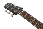 Ibanez AAM100E Black