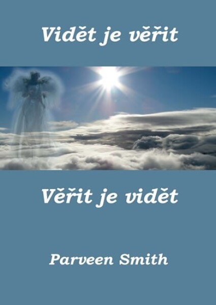 Vidět je věřit, věřit je vidět - Parveen Smith