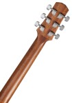 Ibanez AAD50-LG