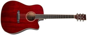 Tanglewood TW5 CE R