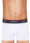 Pánské boxerky Pro 06/1-21A/2 FABIO