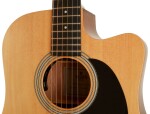 Sigma Guitars DMC-STE-WF
