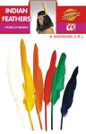 R-Kontakt.cz Indiánská péra barevná - 12ks