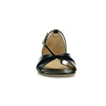Shapen Petal 2.0 Black Regular