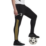 Tréninkové šortky adidas Juventus HG1355