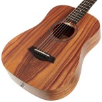 Taylor BTe-Koa