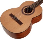 Kremona Camellia (1/2)