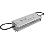 BIG WHITE (SLV) Můstkový LED driver 42 W, 500 mA pro NUMINOS®, včetně radiofrekvenčního rozhraní pro modul RF, DALI 1006459