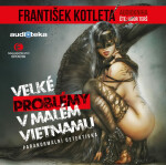 Velké problémy v Malém Vietnamu - CDmp3 (Čte Libor Terš) - František Kotleta