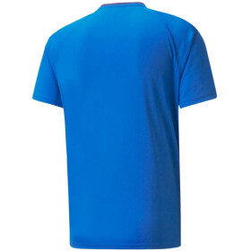 Puma teamVision Jersey M 704921 02 pánské s