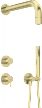 DEANTE - Silia kartáčované zlato jednorukojeťová baterie Podomítkový sprchový set, s pevnou sprchovou hlavicí NQS_R9XK