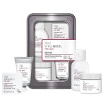 Baylis & Harding Sada kosmetiky pro muže v boxu Wellness for Men, stříbrná barva, kov, plast