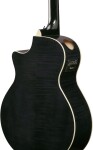 Ibanez AE170-TBK
