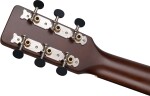 Gretsch Jim Dandy Parlor LTD VWT
