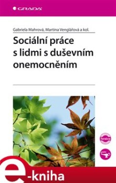 Sociální práce s lidmi s duševním onemocněním - Gabriela Mahrová, Martina Venglářová e-kniha