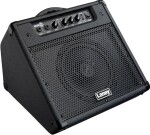 Laney DH-40