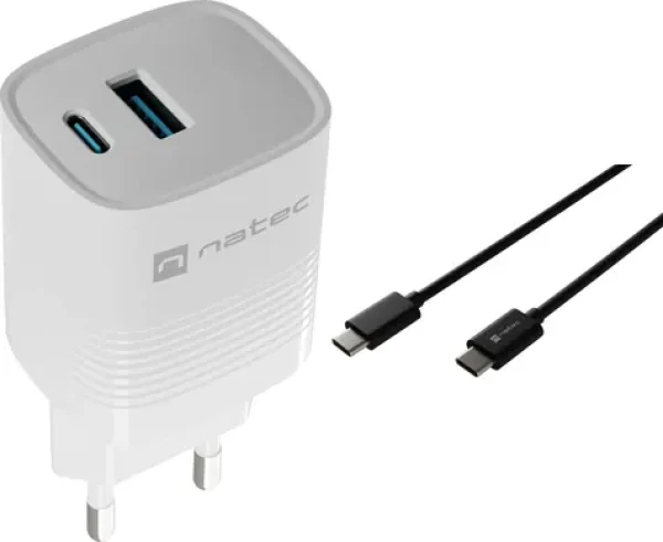 Natec Ribera NUC-2140 černá / Nabíječka / 1x USB-A + 1x USB-C / 3 A / kabel USB-C - USB-C 2 m (M-9120717)