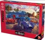 ANATOLIAN Puzzle Závodníci přijeli