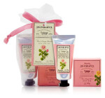 Sada péče o ruce DR. FINLAY´S organza Růže a neroli 25g + 20ml