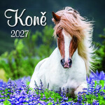 Kalendář 2027 nástěnný: KONĚ