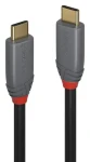 Lindy Anthra Line černá / Kabel / USB-C - USB-C / 0,5 m / 10 Gbit/s / 5 A PD (36900)