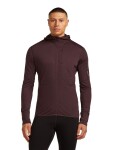 ICEBREAKER Mens 200 Realfleece Descender LS Zip Hood, Java (vzorek) velikost: M