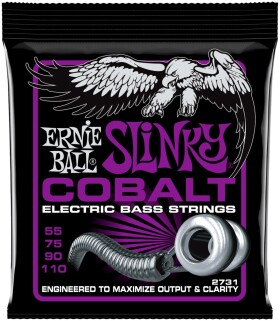 Ernie Ball 2731