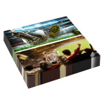 Fotbal ubrousky 16 ks 33 cm x 33 cm Fotbal ubrousky 16 ks 33 cm x 33 cm