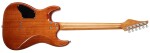 JET Guitars JS-1000 QTBL