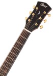 Cort Gold A6-Bocote NAT