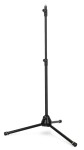 Gravity MS 43 DT
