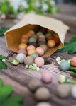 Blossombs Dárková sada semínek divokých květin Mother's day Medium – 9 ks, růžová barva, krémová barva, přírodní barva
