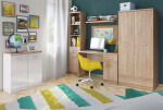 ARTEN (NANO Systems s.r.o.) PC stůl TOP MIX-1D1S-120 (Dub sonoma)