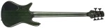 Spector NS Dimension MS 5 Haunted Moss