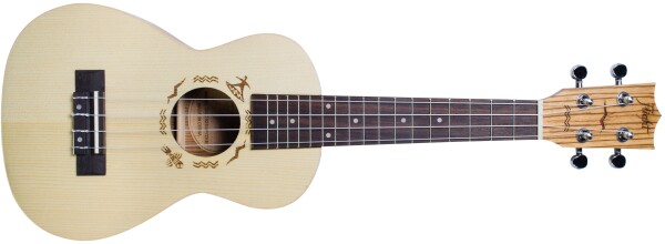 Flight DUC 325 SP ZEB