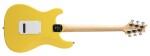 PRS SE Silver Sky RW Dandy Lion