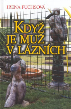 Když je muž lázních