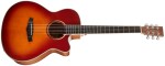Tanglewood TW4 CE SB (použité)
