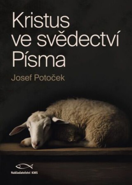 Kristus ve svědectví Písma - Josef Potoček - e-kniha