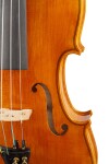 Violin Schönbach Golden